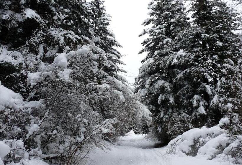 ホテル Posada Al Vent   Adults Only