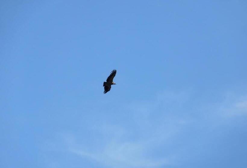 ホテル Posada Al Vent   Adults Only