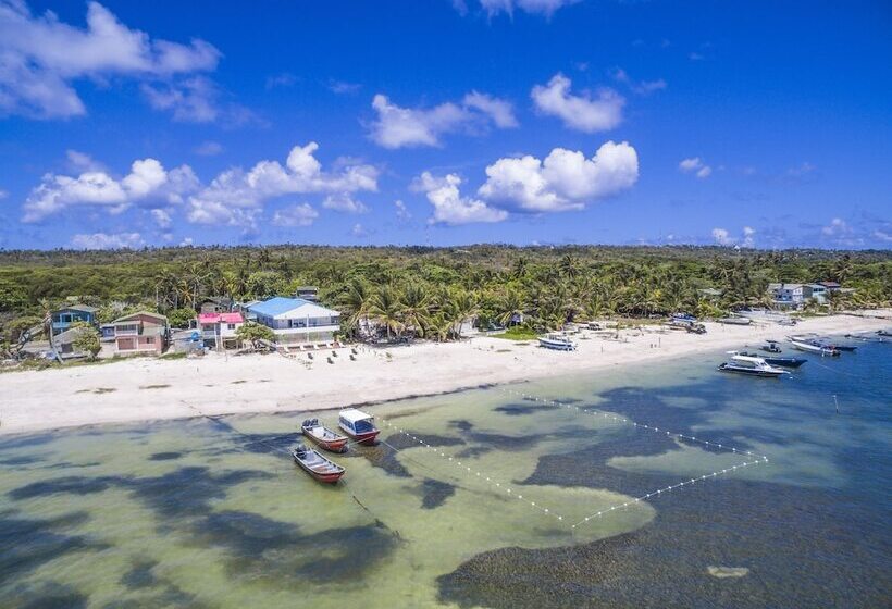 ホテル San Luis Place By Dorado