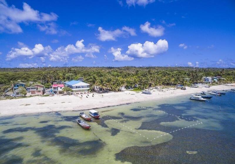 ホテル San Luis Place By Dorado