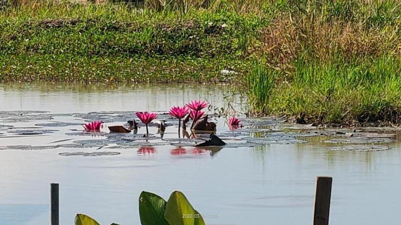 בית מלון כפרי Bungalow Mat Hj Limah