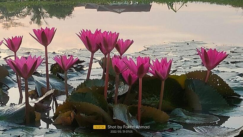 בית מלון כפרי Bungalow Mat Hj Limah