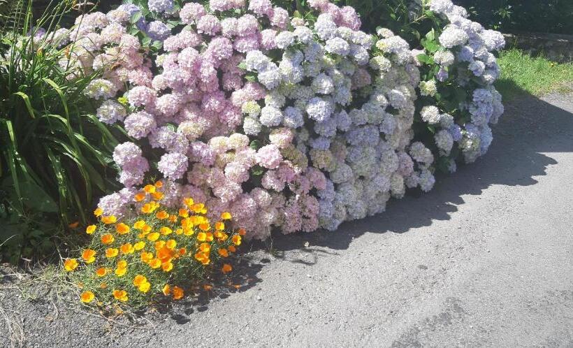 צימר Louradou Sur Ciel