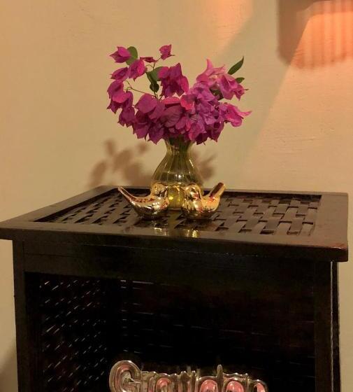 فندق Sítio Primavera