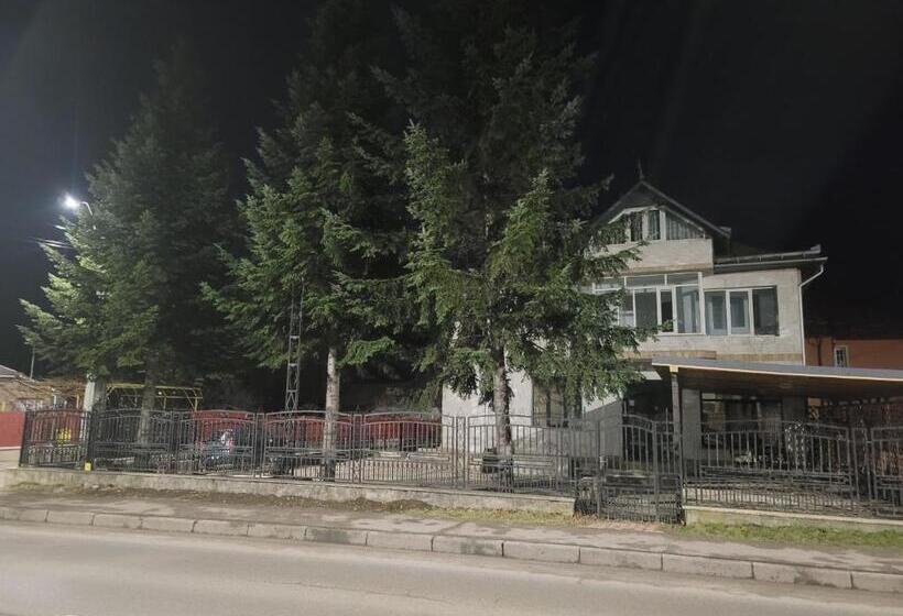 Pensiunea Trei Brazi