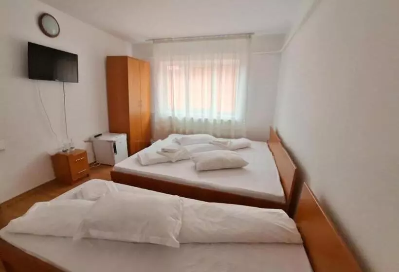 Pensiunea Trei Brazi