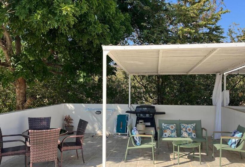 هتل Flor De Limon 2