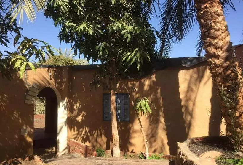 هتل New Oasis