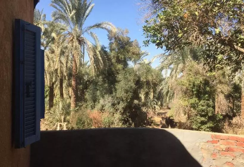 هتل New Oasis