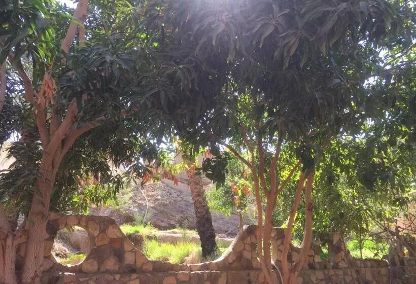 هتل New Oasis