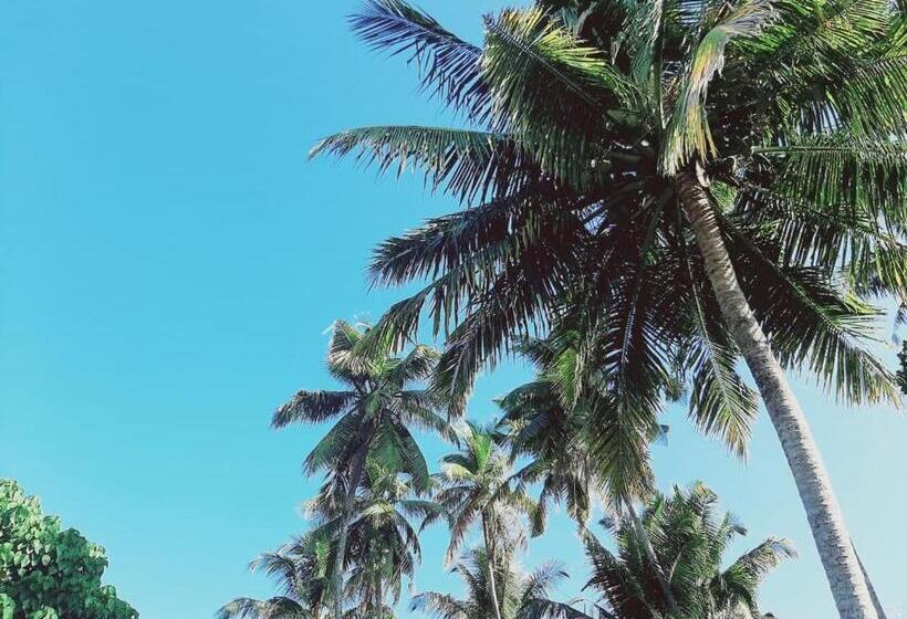 بنسيون King S Cave