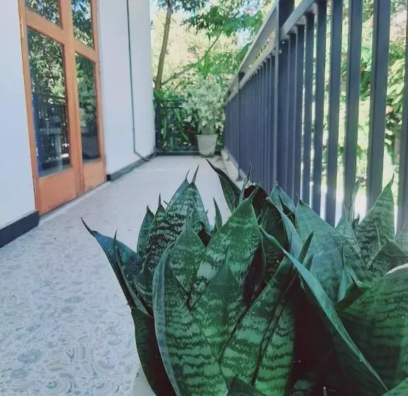 Majatalo King S Cave