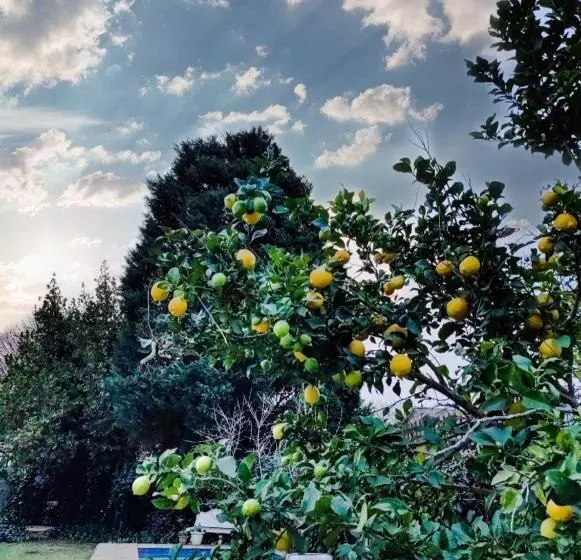 Majatalo Leana Hub Guest House