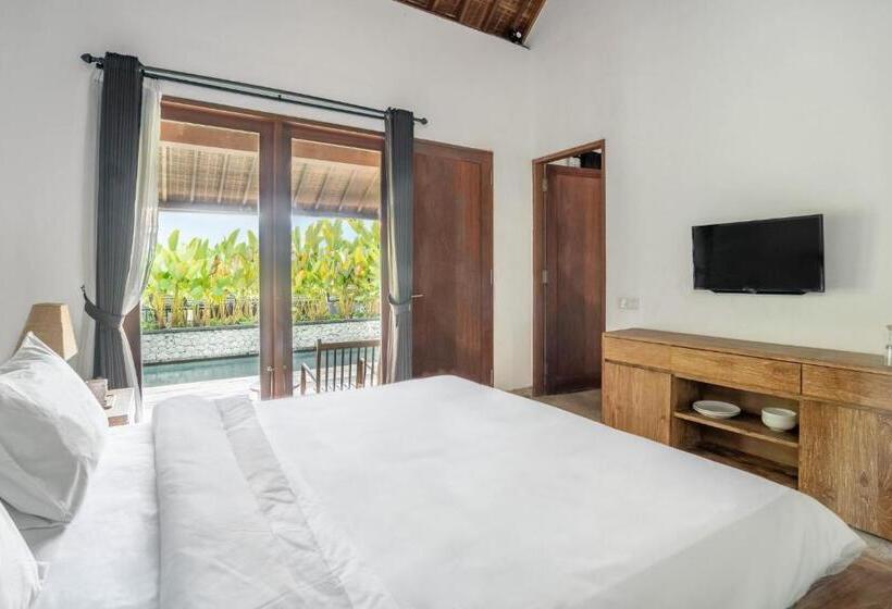 פנסיון Rarama Living Studio