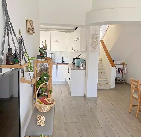 پانسیون Amora S Guest House