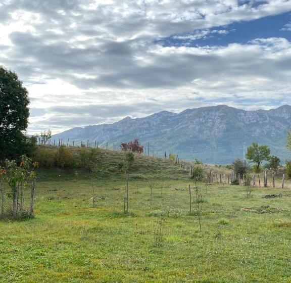 تختخواب و صبحانه Matija