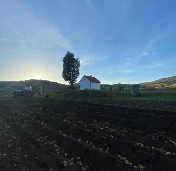 تختخواب و صبحانه Matija