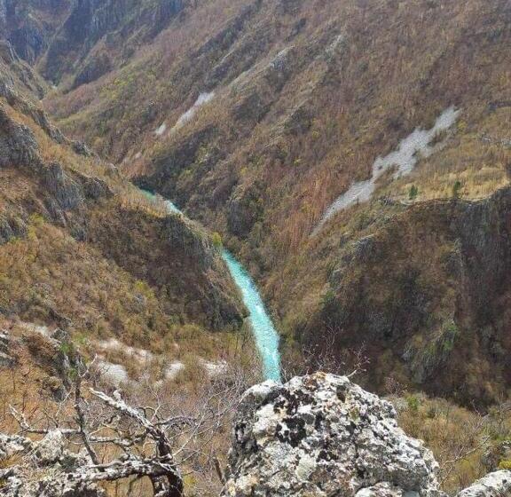 تختخواب و صبحانه Matija