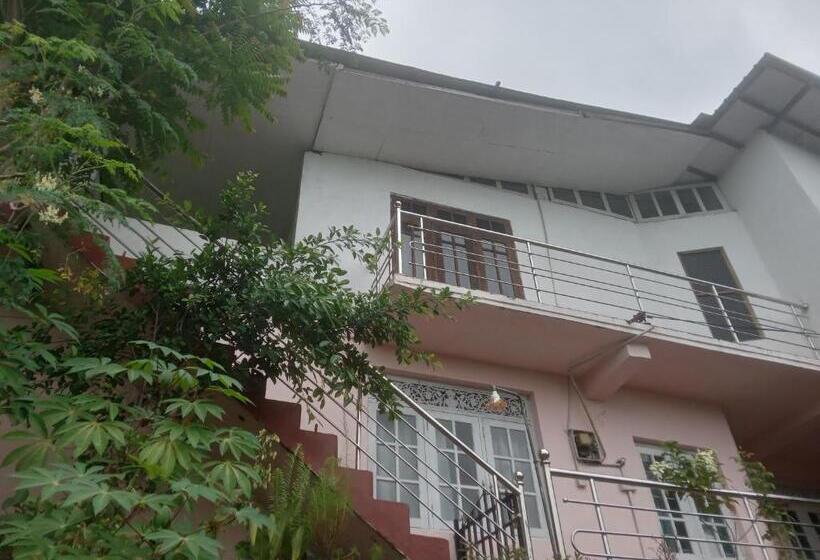 פנסיון No Name