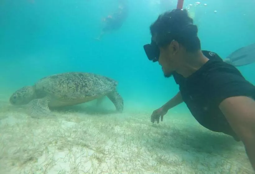 ペンション Perhentian Idaman