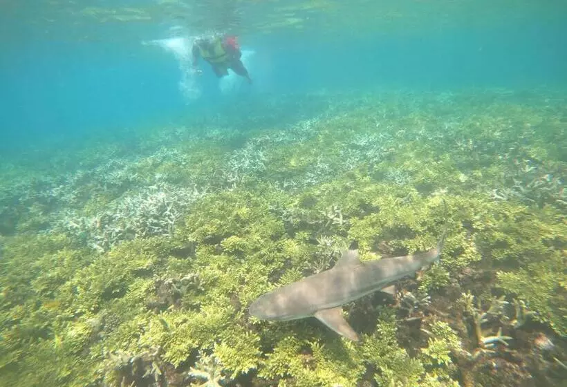 ペンション Perhentian Idaman