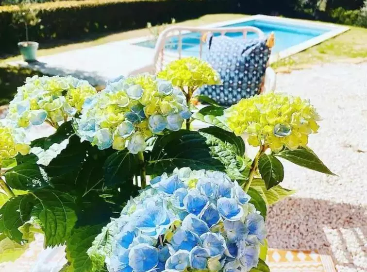 Aamiaismajoitus (B&B) La Grange Des Amoureux Piscine Jacuzzi Et Massages