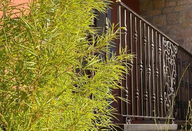 Hotell Apartamentos Calm & Nature   Adults Only