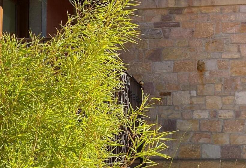 Hotell Apartamentos Calm & Nature   Adults Only