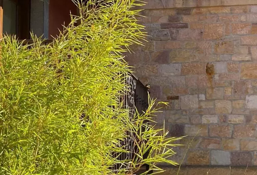 هتل Apartamentos Calm & Nature   Adults Only