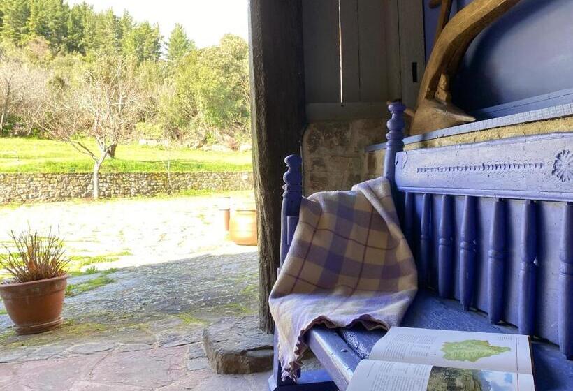 Hotell Apartamentos Calm & Nature   Adults Only