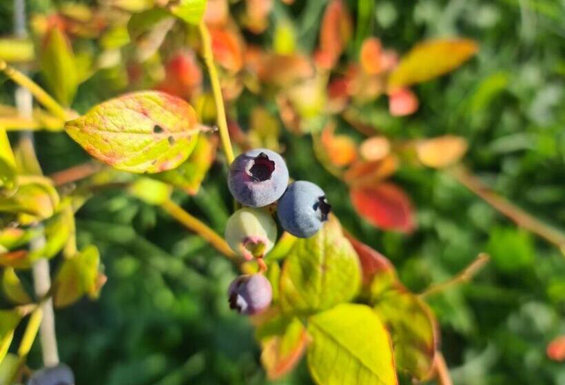酒店 Chambre à La Ferme, Les Vergers Du Muscardin