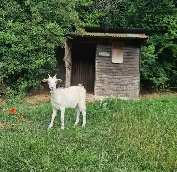 ホテル Chambre à La Ferme, Les Vergers Du Muscardin