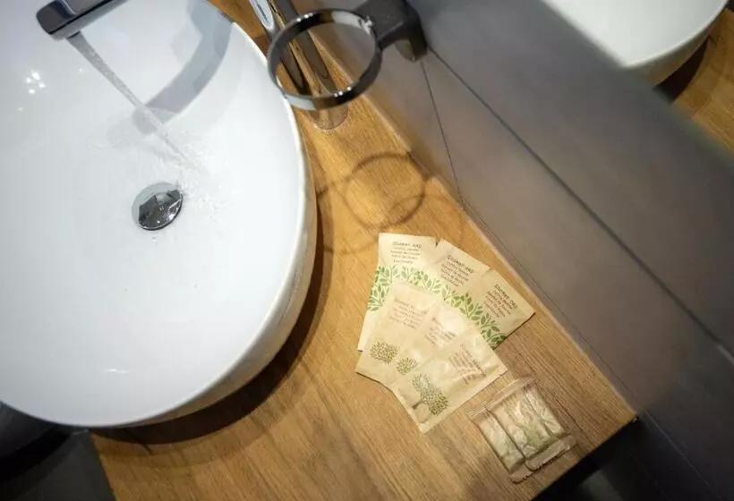 ホテル Leon D Oro