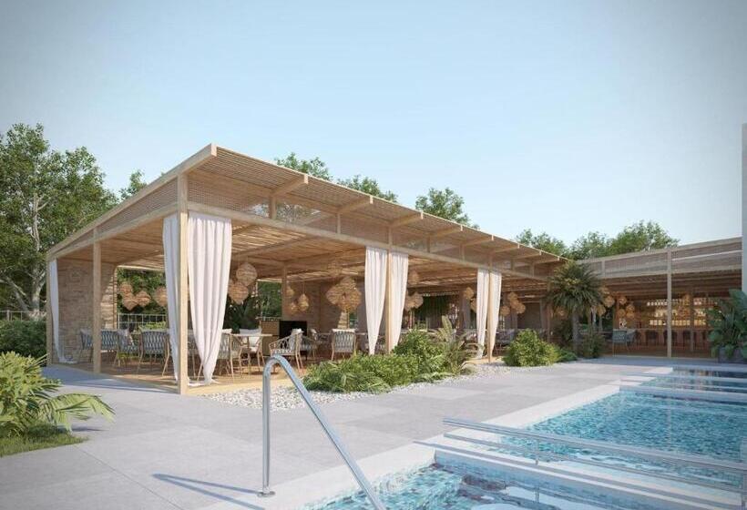 酒店 Palms Beach Kiten