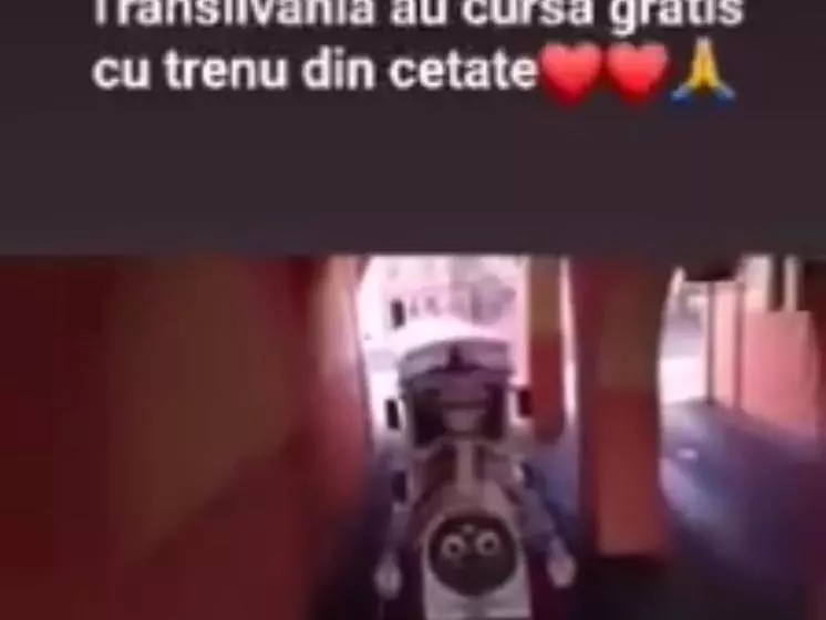 Made In Transilvania