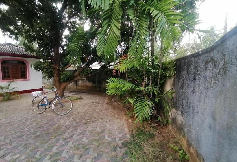 膳宿费 Sunshine Guest House