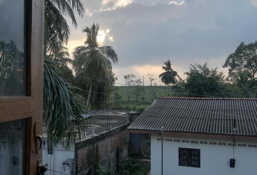 膳宿费 Sunshine Guest House