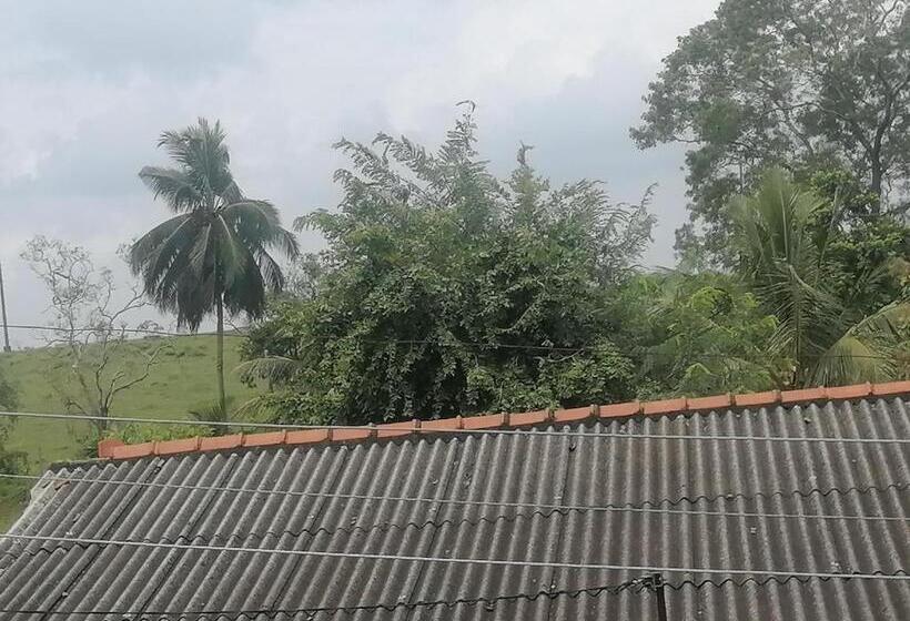 膳宿费 Sunshine Guest House