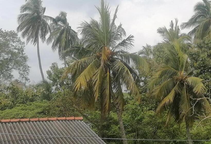 膳宿费 Sunshine Guest House