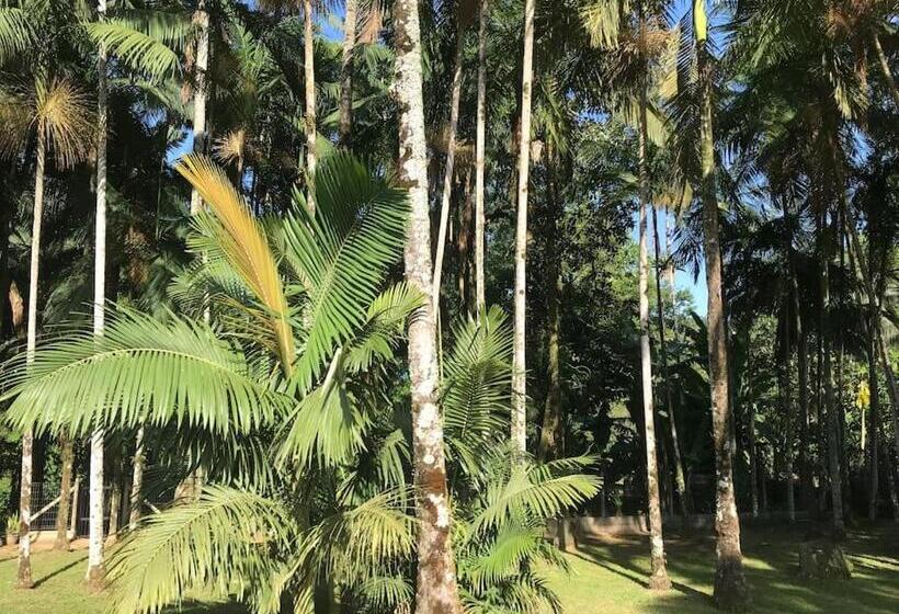 膳宿费 Casa Completa Com 2 Quartos No Centro