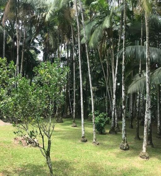 膳宿费 Casa Completa Com 2 Quartos No Centro