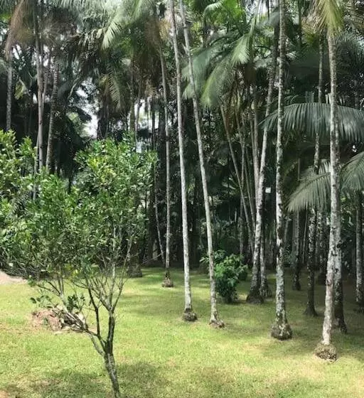 ペンション Casa Completa Com 2 Quartos No Centro