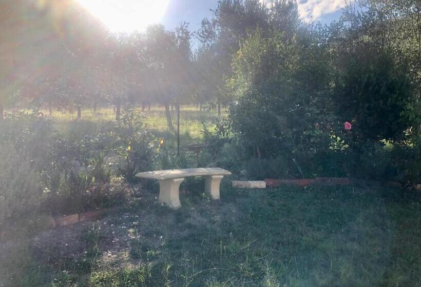 פנסיון Danara Cottage