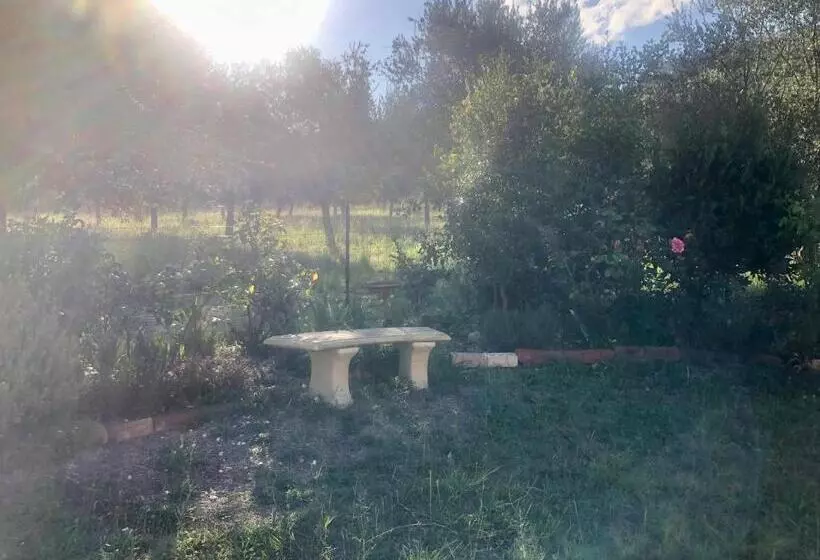 Majatalo Danara Cottage