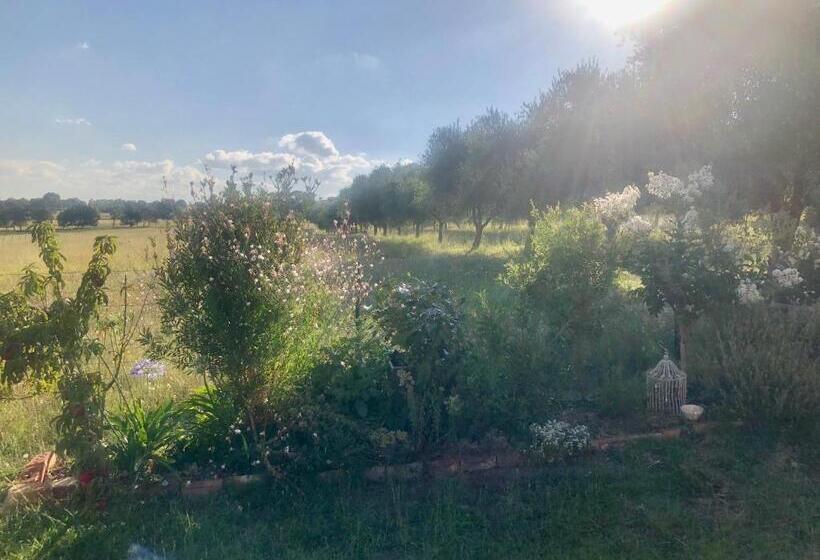 פנסיון Danara Cottage