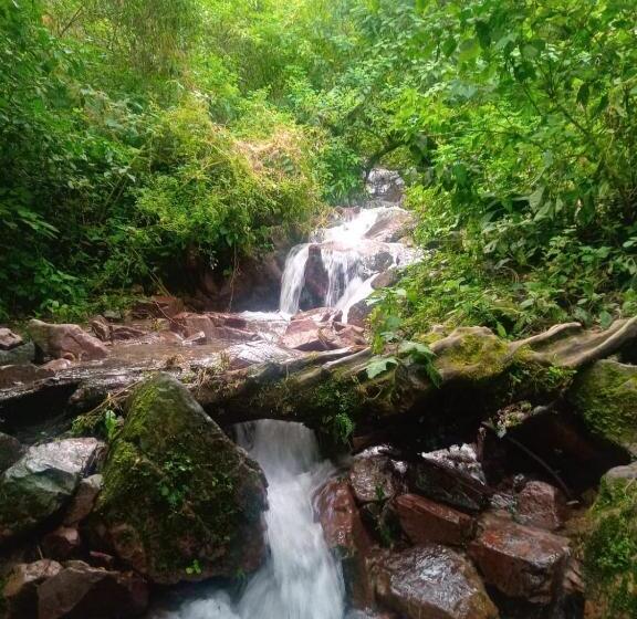 Bed and Breakfast Hostel House Casa De Los Pájaro