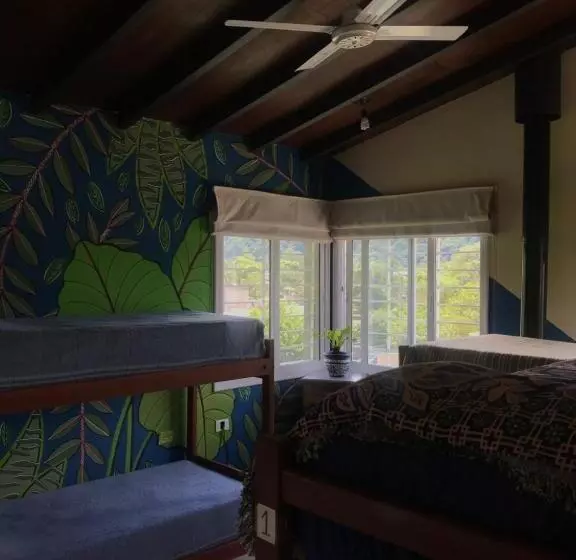 ベッドアンドブレックファースト Hostel House Casa De Los Pájaro
