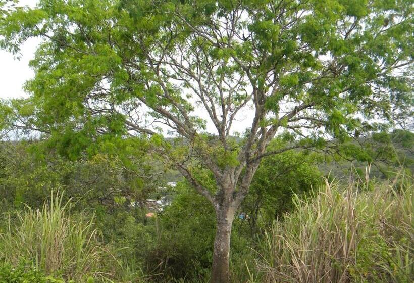 酒店 Centro Vacacional Recreasana