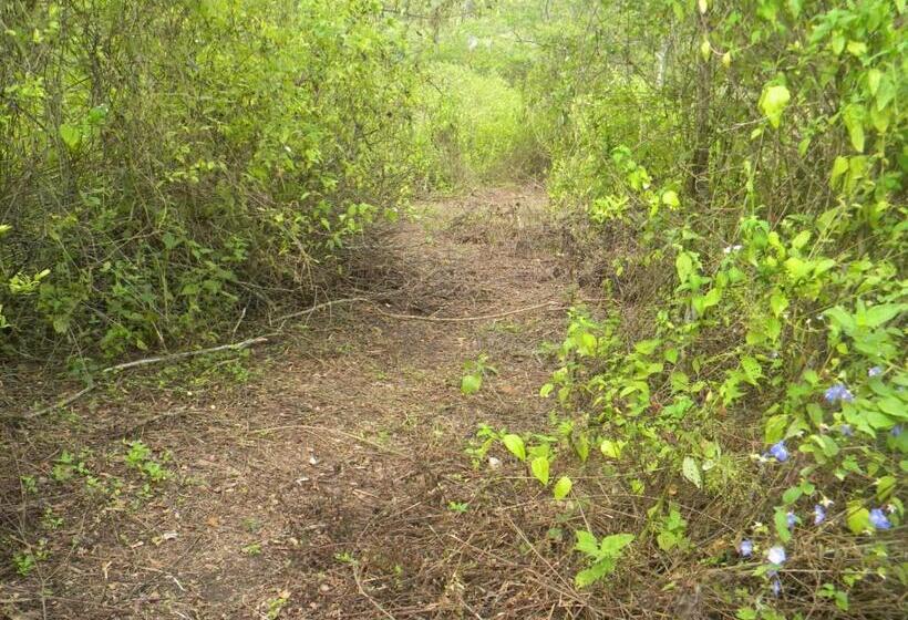 酒店 Centro Vacacional Recreasana