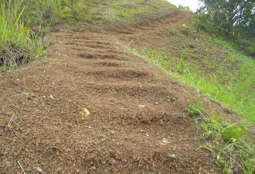 호텔 Centro Vacacional Recreasana